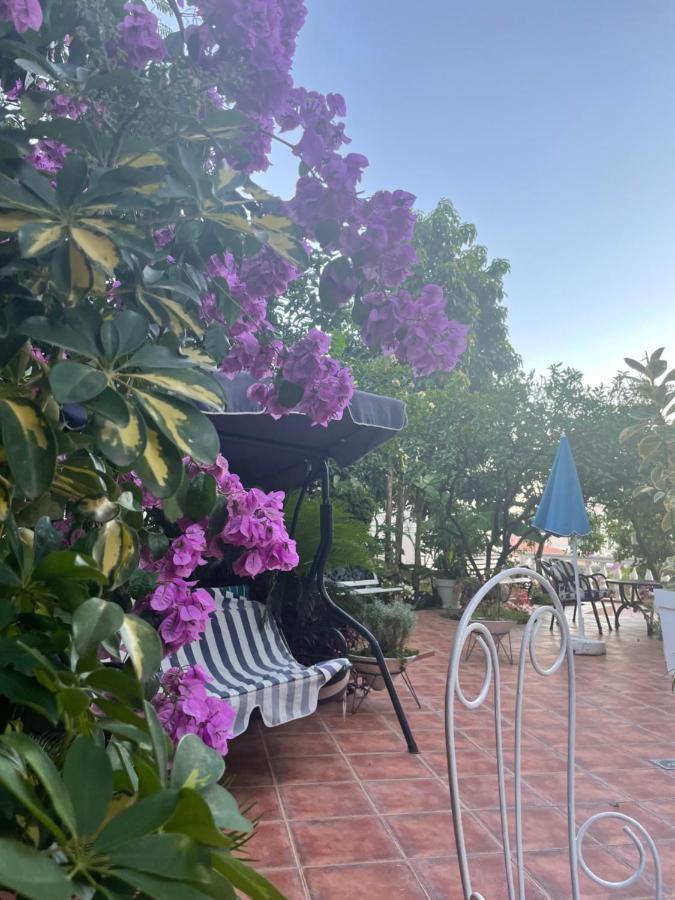 Apartmani Iva Becici Buitenkant foto